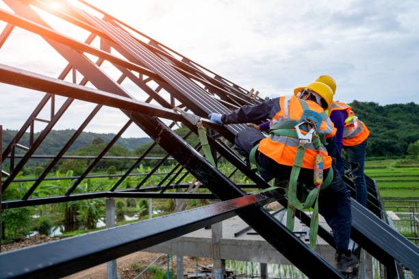 Best Shingle Roofing Installation  in Rising Sun Lebanon, DE